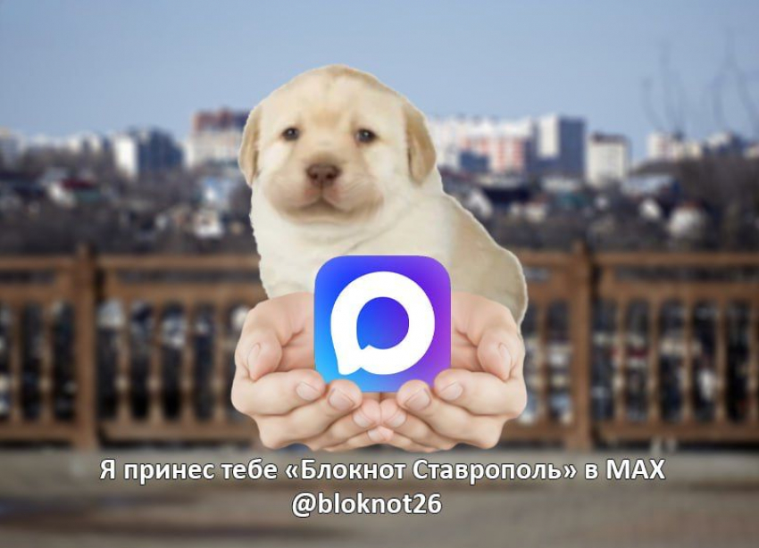 «Блокнот Ставрополь» появился в MAX