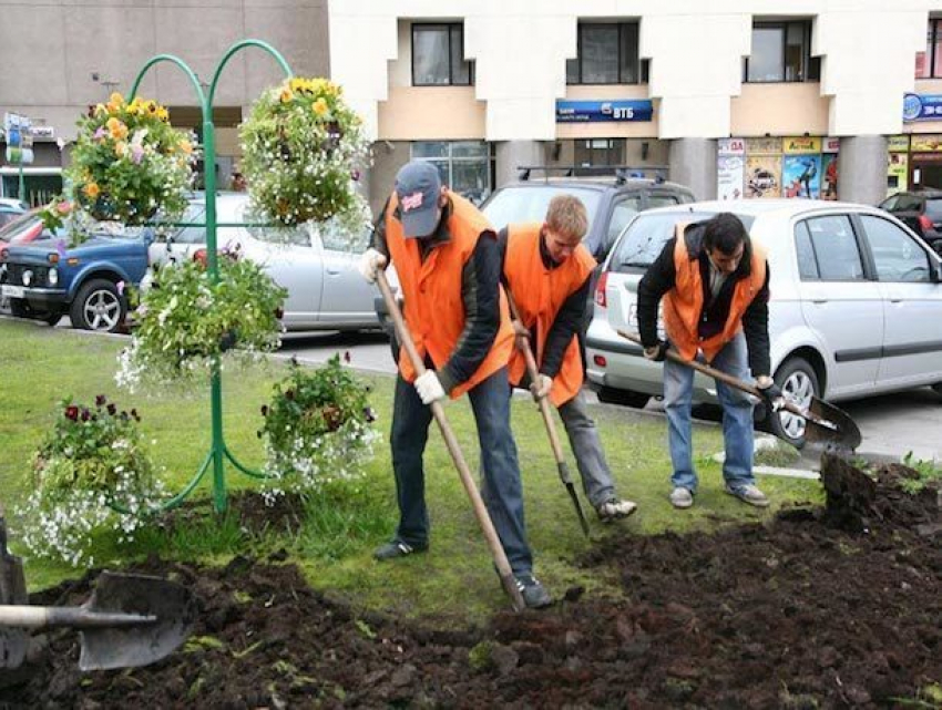 Детский труд используют в школах Железноводска для подготовки к учебному году