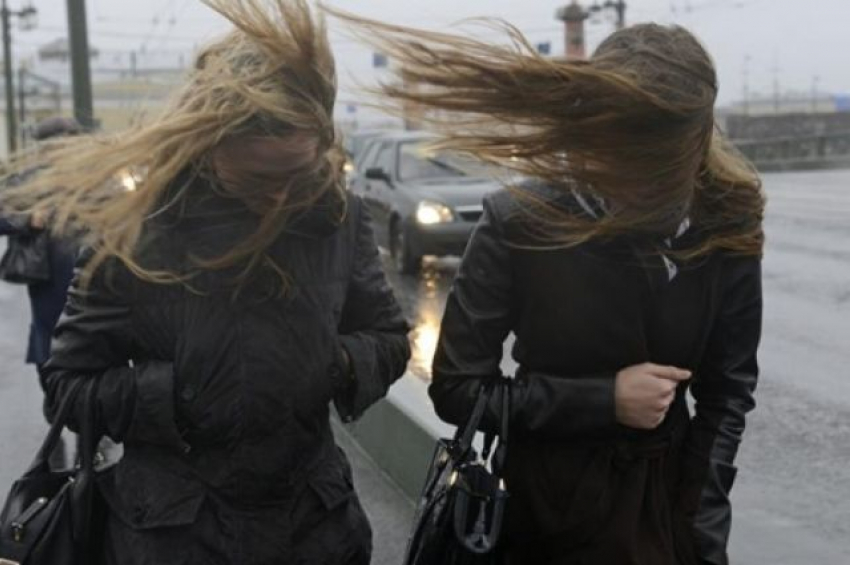 На Ставрополье синоптики обещают сильный ветер в выходные