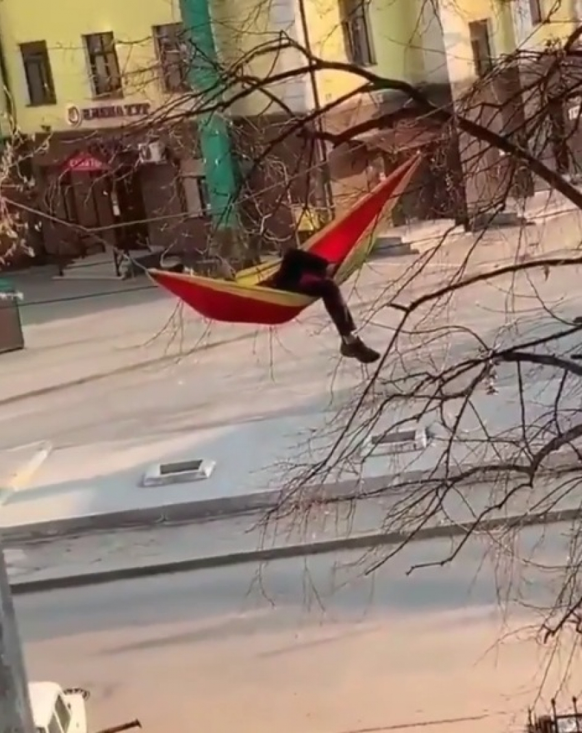 Видео с пятигорчанином на гамаке на высоте 5 метров попало в федеральные СМИ