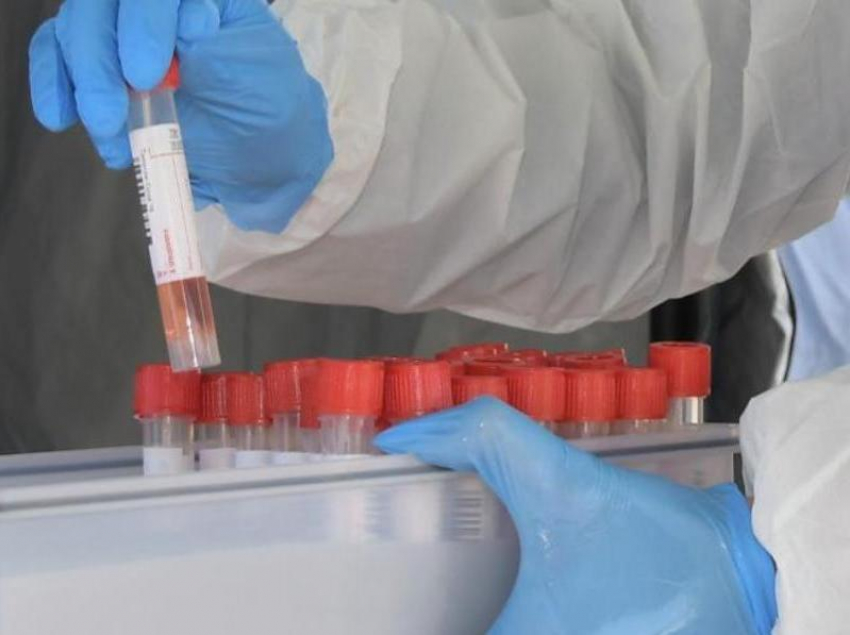 В России зафиксировали почти 1,5 тысячи мутаций коронавируса