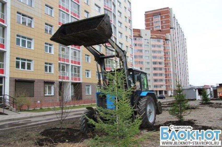 Весной в Ставрополе посадят тысячи деревьев