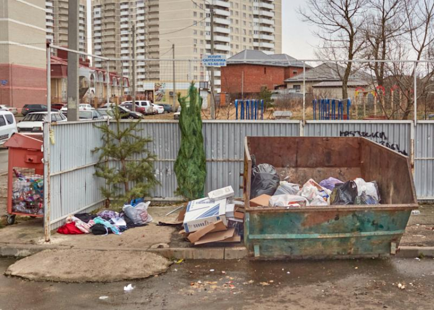 Более 6 миллиардов планирует потратить Эко-Сити на вывоз мусора в Ставрополе