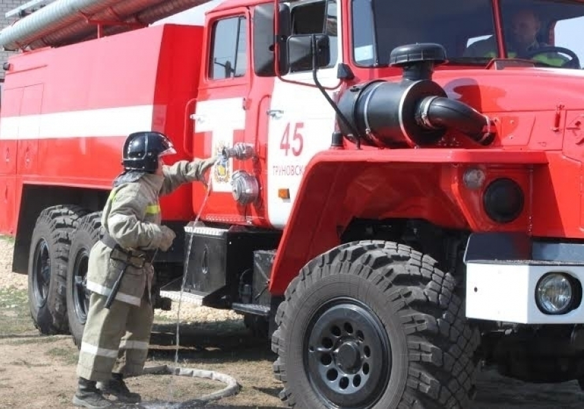 На Ставрополье пожарные защитили коров от огня
