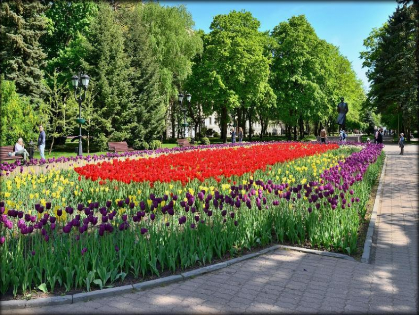 Начало недели в Ставрополе будет солнечное и тёплое
