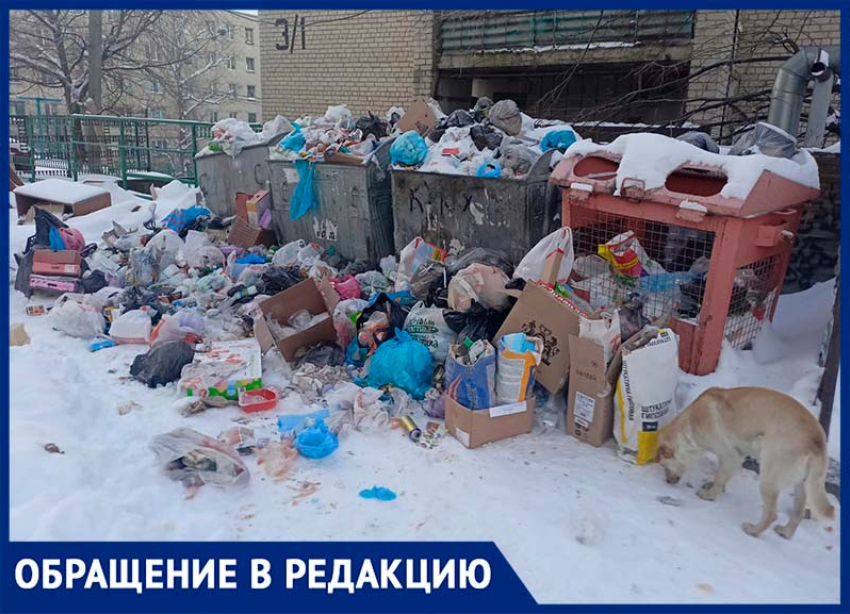 Горы мусора накопились во дворе в Ставрополе