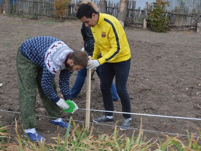 Почти 150 суперинтенсивных садов заложат на Ставрополье