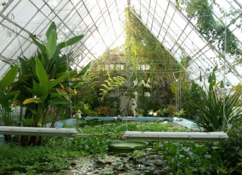 В Ставрополе на выходных будет открыт Ботанический сад