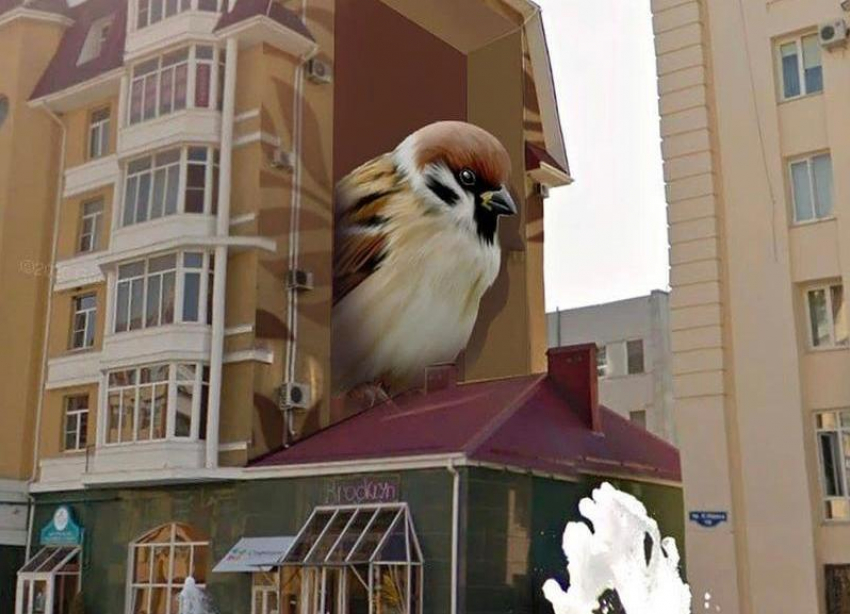 Фасады зданий в центре Ставрополя могут украсить граффити