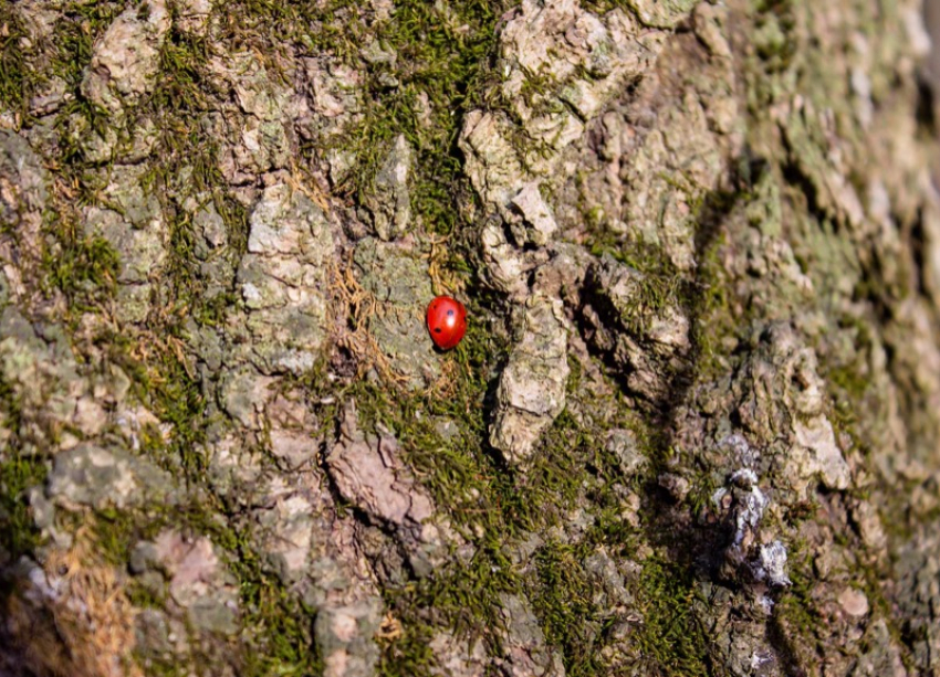 Во вторник в Ставрополе будет солнечно, но прохладно