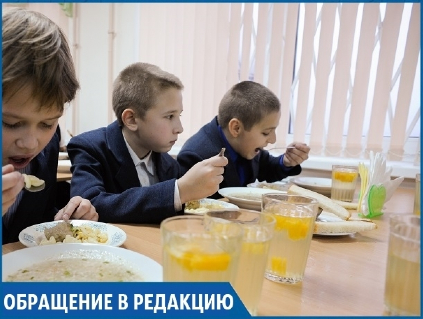 "Почему многодетные семьи платят за школьный обед, как все?", - жительница Ставрополья