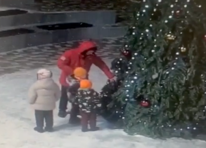 Отец позволил детям залезть в городскую елку в Иноземцево 