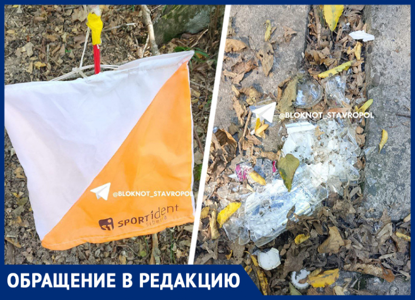 Захламили мусором и уничтожили деревья: ставрополец винит спортивную организацию в загрязнении Таманского леса