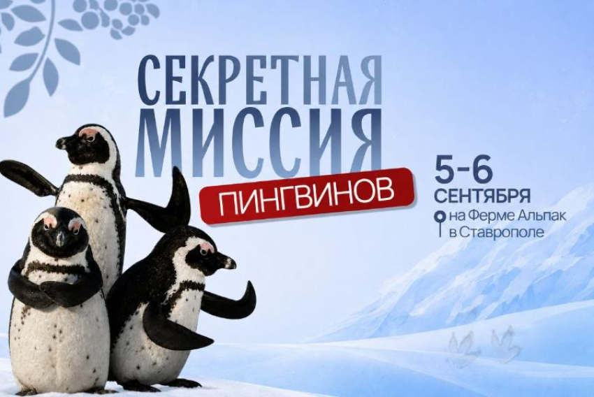 Первый праздник в честь новых жителей на Ферме Альпак пройдет в Ставрополе 5–6 сентября
