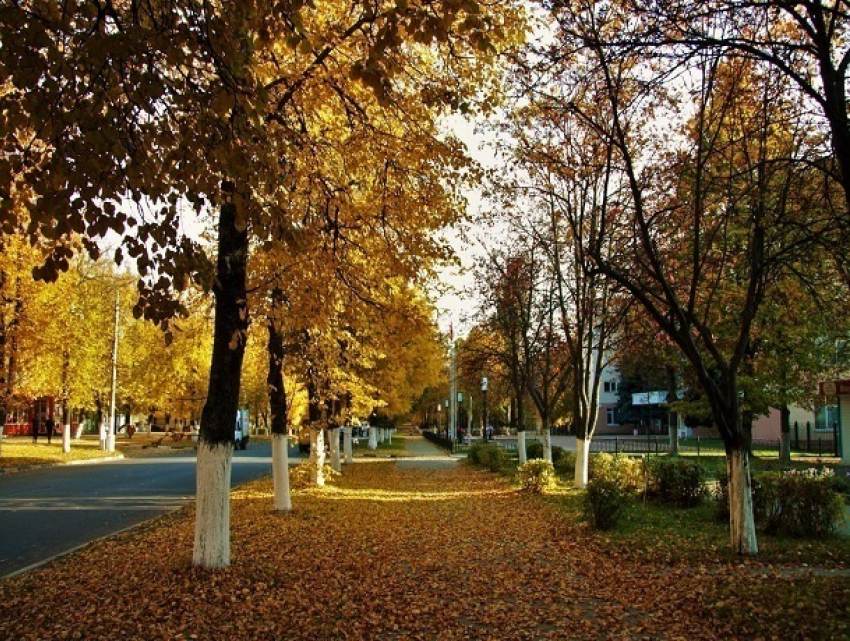 Теплый погожий день без осадков ждет Ставрополь 13 ноября 