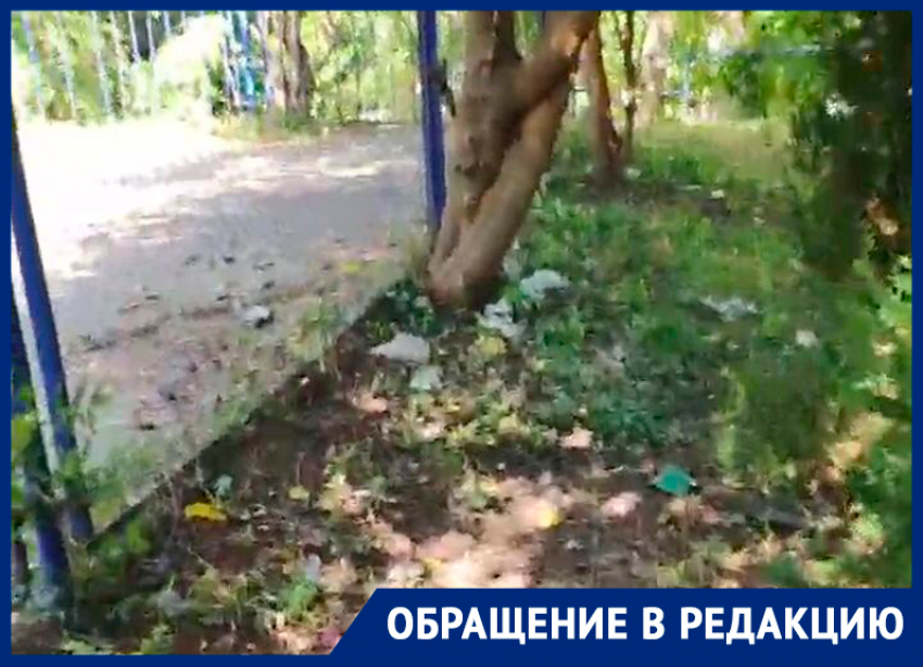 Битые стекла, шприцы и падающие деревья угрожают детям из Ставрополя