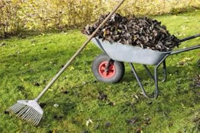 Межрайонная прокуратура опротестовала решение Думы Георгиевска