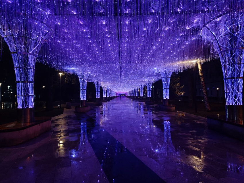 Будущее туманно: чего ждать от погоды в начале рабочей недели на Ставрополье