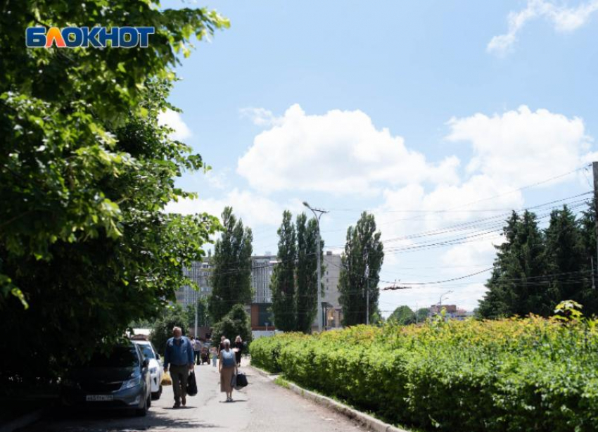 Аномальная жара ожидается на Ставрополье в ближайшие дни 