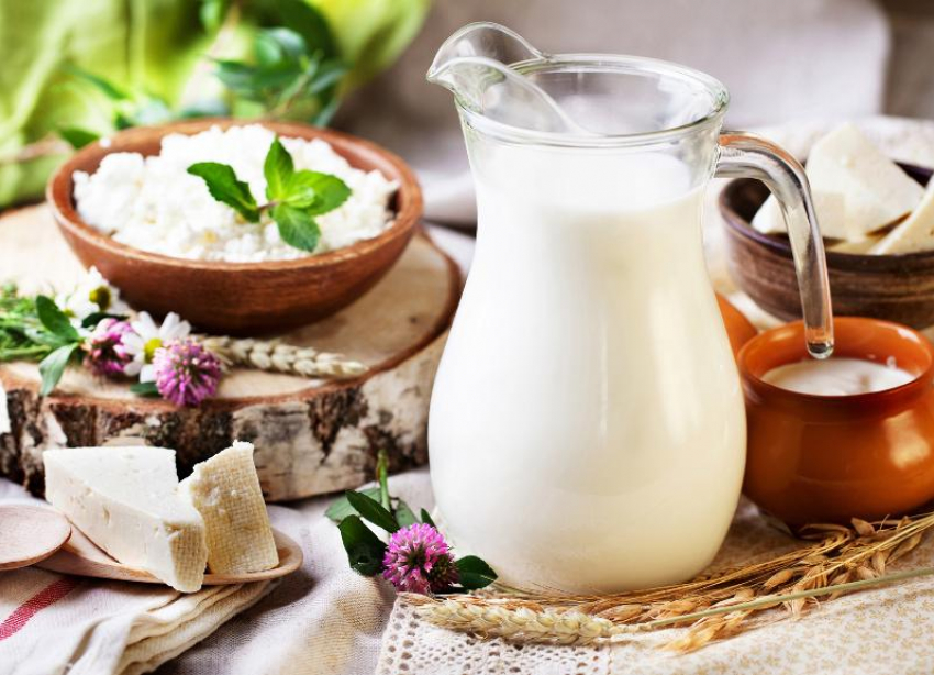 На Ставрополье начали разработку «антиковидного» молока
