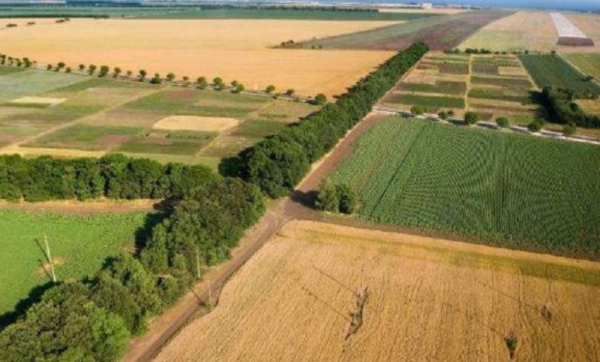Земельные доли стали «яблоком раздора» оборота земель сельскохозяйственного назначения