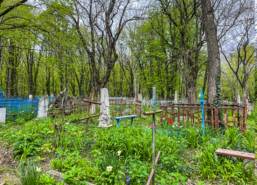 Заставили чистить дороги в 40-градусную жару: семья погибшей чиновницы на Ставрополье не верит в версию о панкреатите