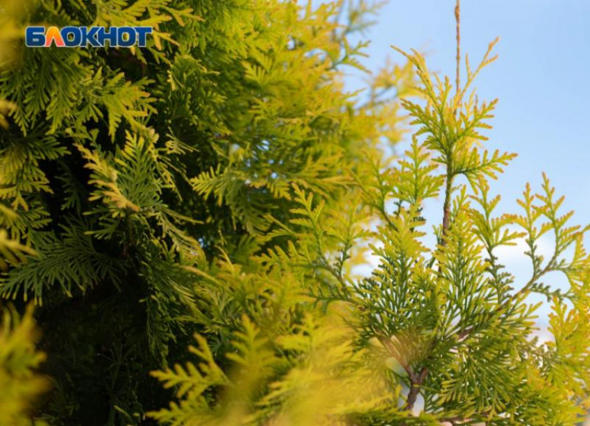 Ощущается как +2: какая погода будет в Ставрополе 18 марта 