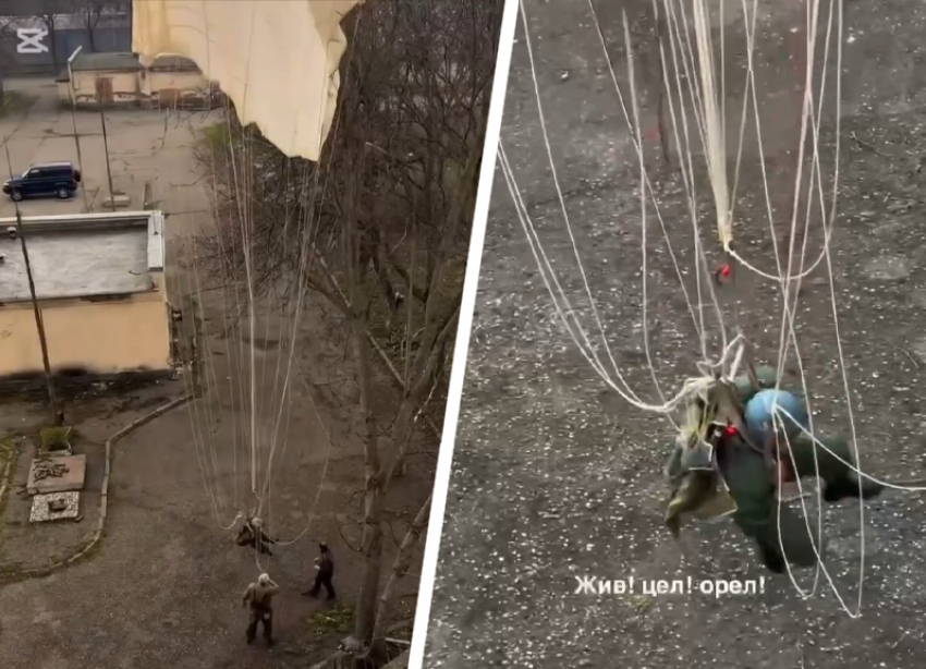 «Жив! Цел! Орел!»: кадры с упавшим на дерево парашютистом разлетелись по чатам Ессентуков