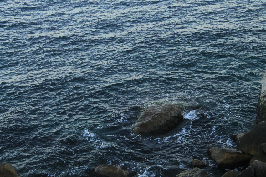 «Хочу жену на море отвезти»: как пенсионер из Ставрополья решил распорядиться выигранным в лотерее миллионом