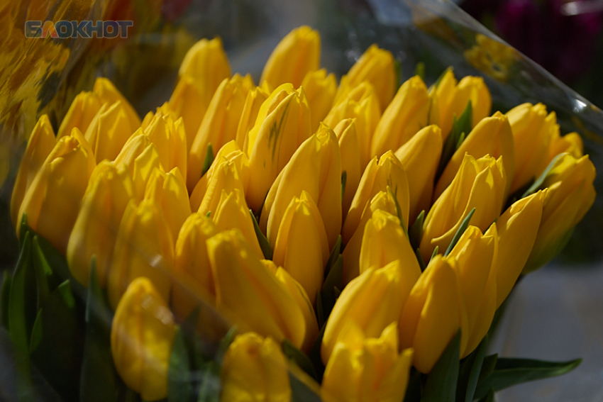 Где купить цветы к 8 Марта в Ставрополе 2026: назвали адреса ярмарок