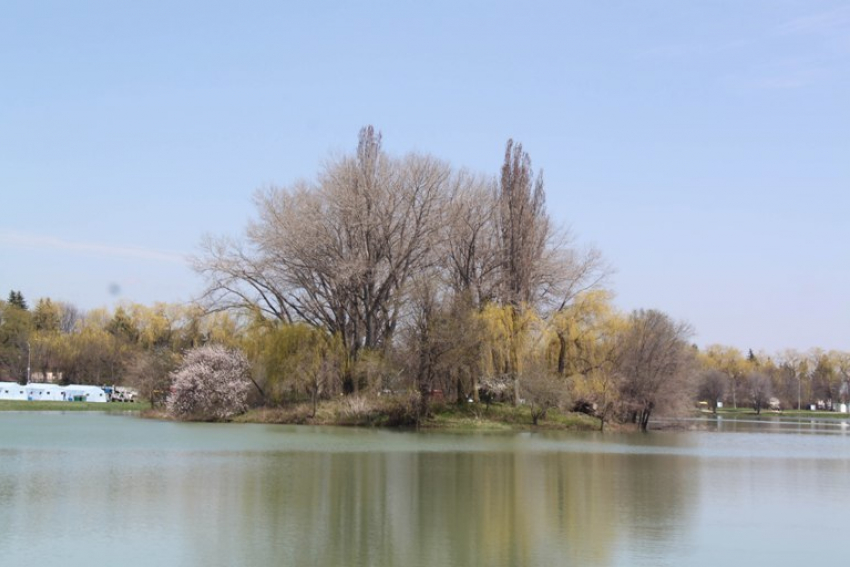 На Ставрополье речной заплыв чуть не закончился бедой для подростков