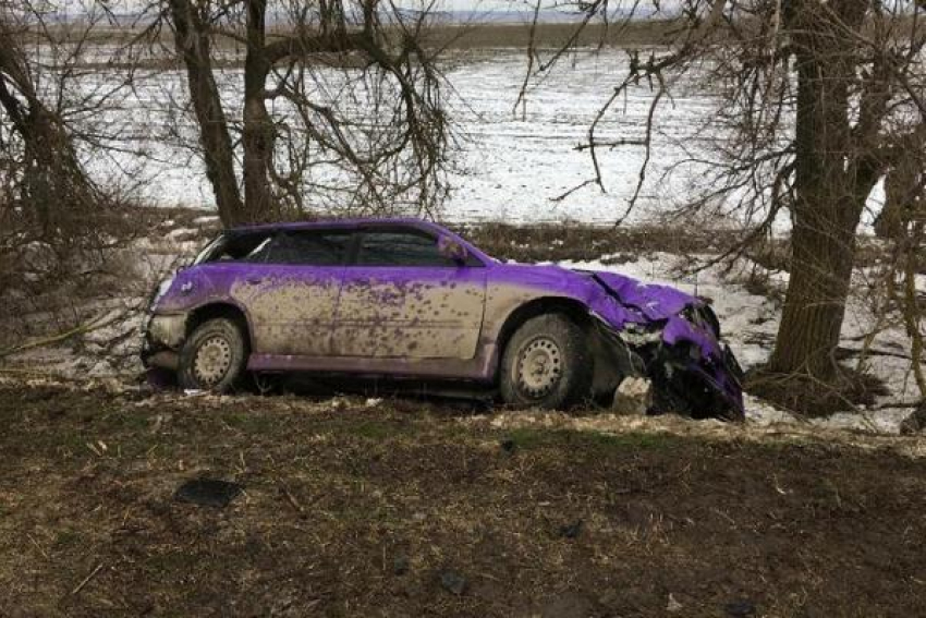 Из-за превышения скорости в дерево врезался 19-летний водитель на трассе Ставрополья