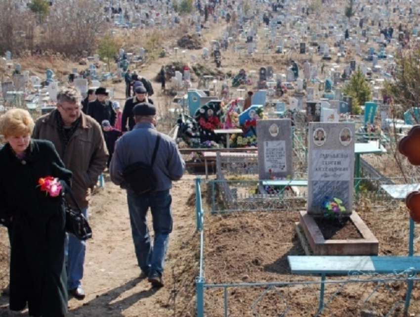 "В современной стране с огромными ресурсами люди вынуждены собирать еду на кладбище", - ставропольчанка о «собирателях конфет» на Радоницу 