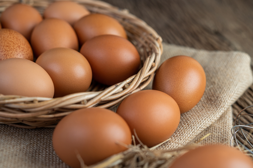 Повышение цен на яйца в Ставропольском крае заинтересовало федеральных чиновников 