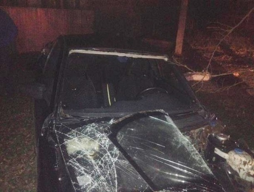 Ставрополец без прав сел за руль «двенадцатой» и врезался в дерево - пассажир погиб 