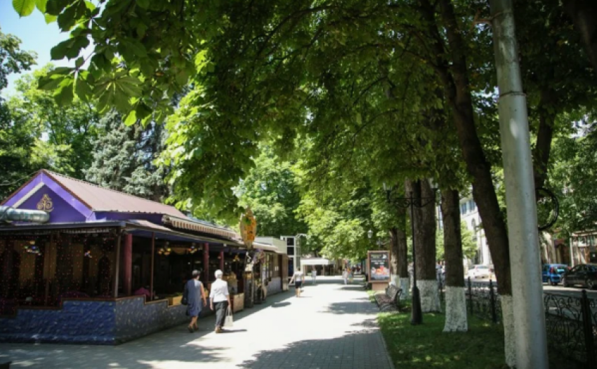 В Пятигорске пройдет проверка состояния деревьев 