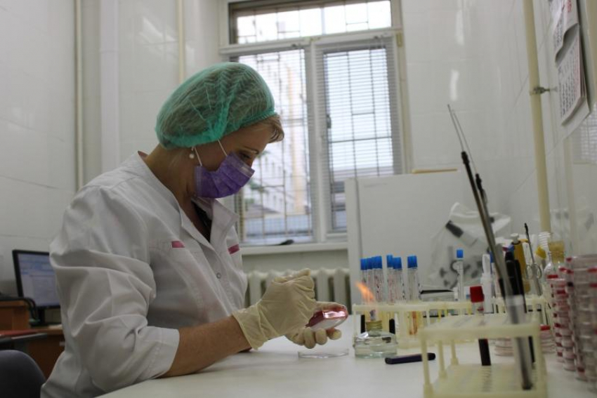 Новая специальность «Медицинская микробиология» — для повышения биологической безопасности