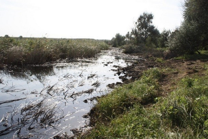 Последствия утечки нефти в реку Ставрополья устранила «Черномортранснефть»