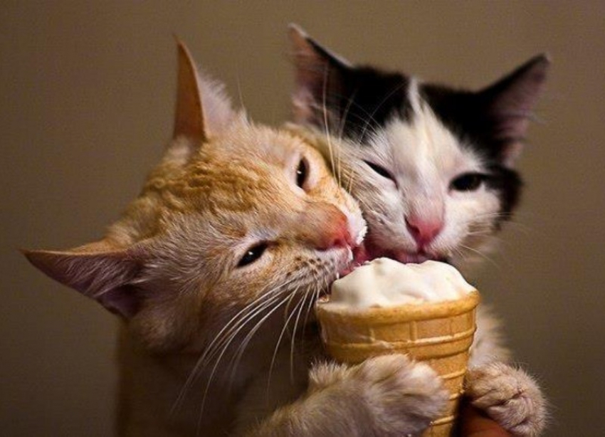 В четверг жара не покинет Ставрополь