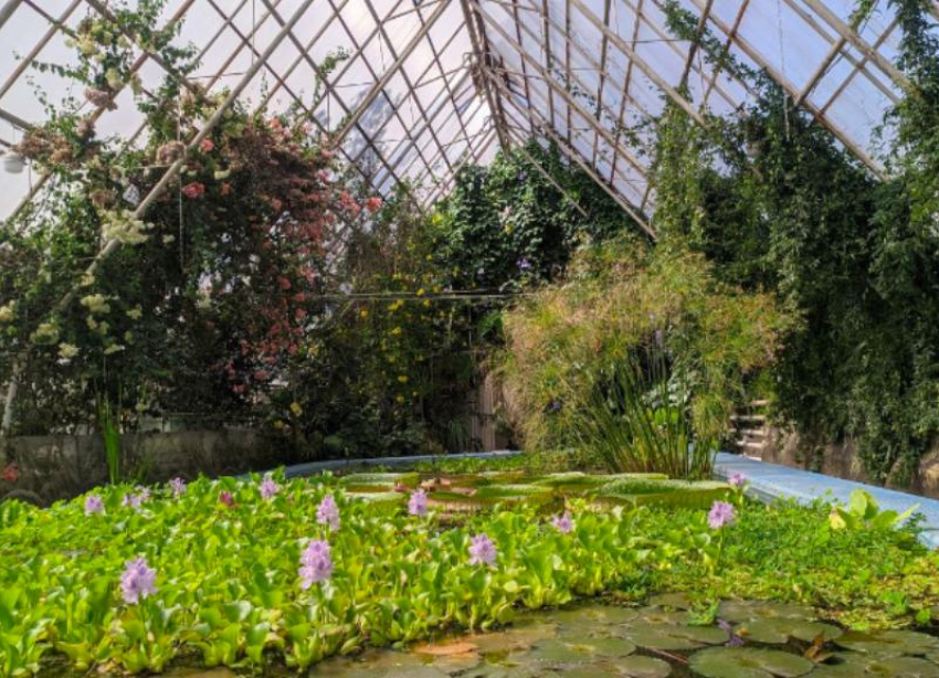 Ставропольцев предупредили о подвохе со стороны погоды 28 апреля 