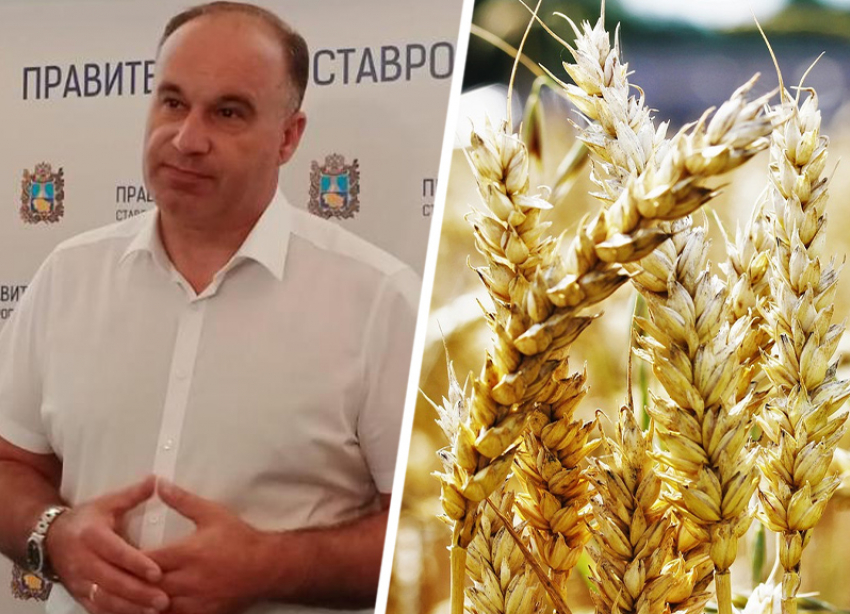 Минсельхоз Ставрополья: ущерб посевам от непогоды оценивается в миллиард рублей