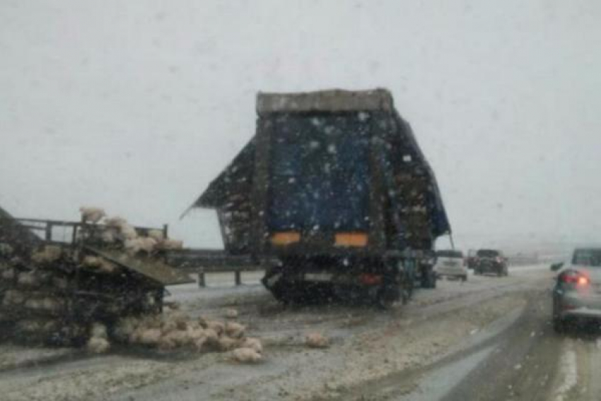 Куры рассыпались на трассе Ставрополья из-за неосторожности водителя грузовика