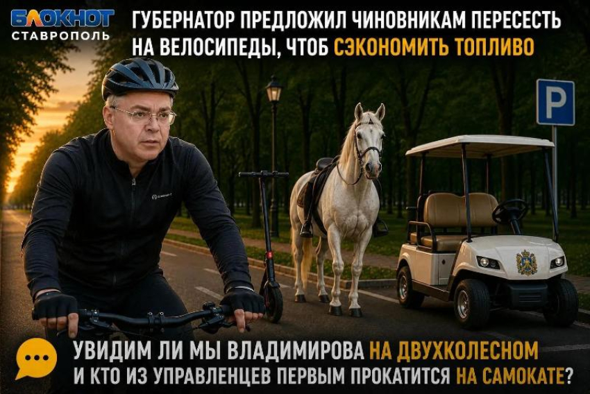 «Фотку сделают и все»: ставропольцы оценили идею губернатора с велосипедами для чиновников 