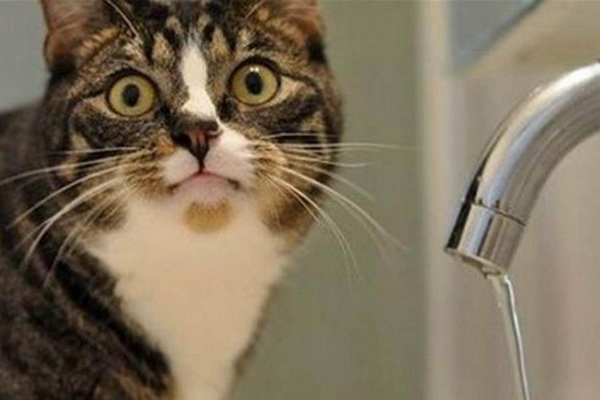 Горячую воду незаконно отключили на 18 дней в Ставрополе