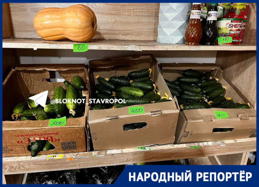 За кило 500 рублей: золотой ценник на огурцы заметили жители Минеральных Вод