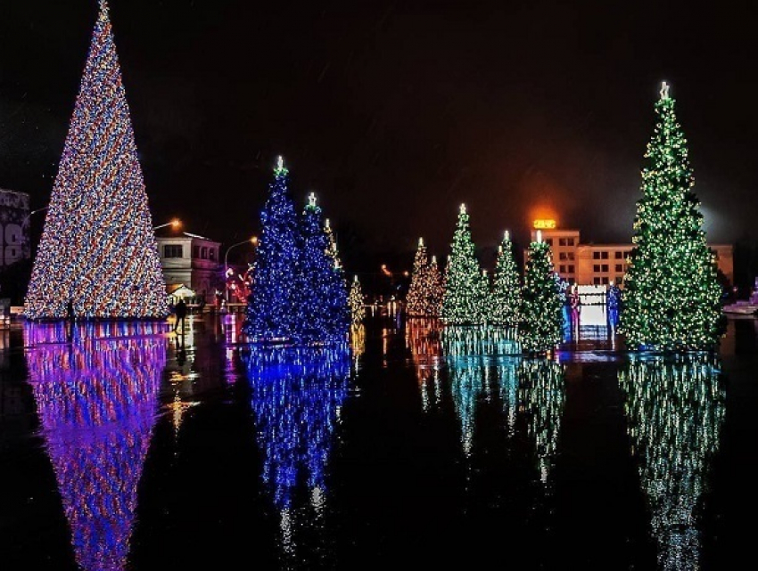 Сказочный лес из елок уже на следующей неделе начнут убирать с площади Ленина в Ставрополе