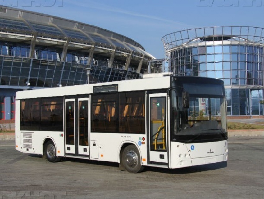 Прохладными и комфортными автобусами предложили заменить маршрутки в Ростове