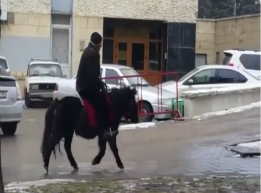 Джигит из Пятигорска верхом на выносливом пони попал на видео