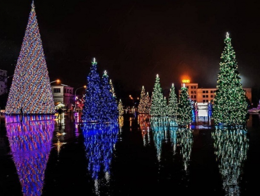 Сказочный лес из новогодних елок снова установят на площади в Ставрополе 