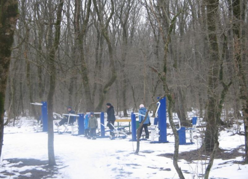 «Тропа здоровья» на 20 километров появится возле Холодных родников в Ставрополе